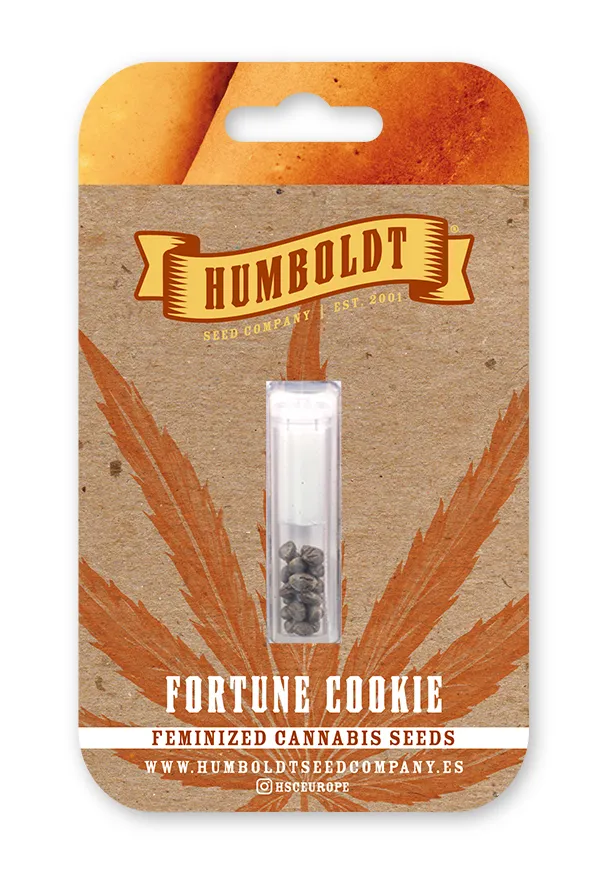 Fortune Cookie feminized seed pack