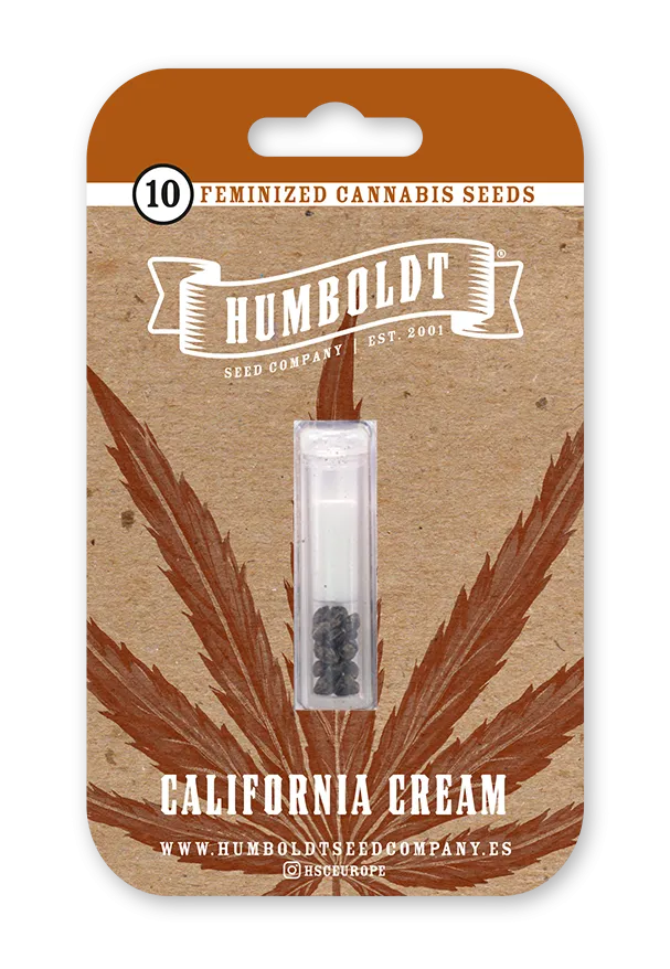 California Cream feminized seed pack