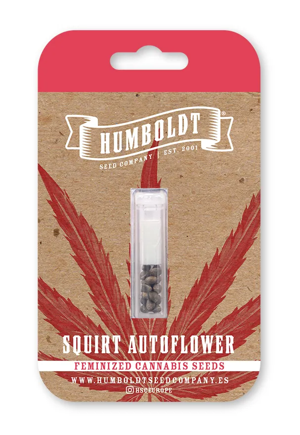 Squirt Autoflower