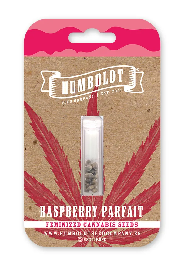 Raspberry Parfait feminized cannabis seed pack