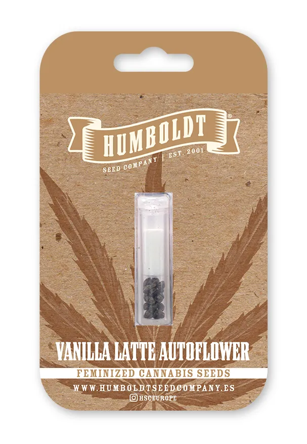 Vanilla Latte Autoflower