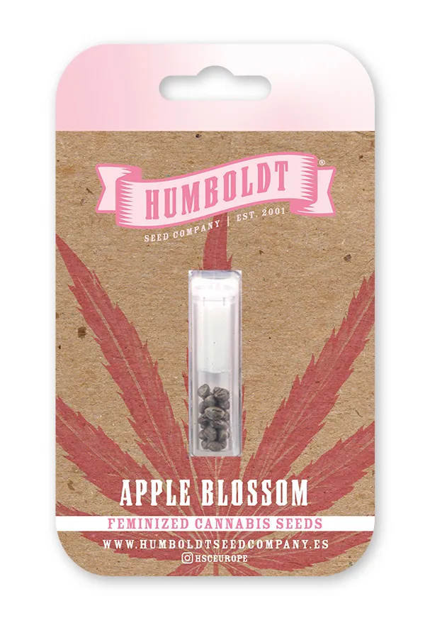 Apple Blossom Feminized seed pack
