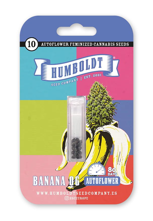 Banana OG Autoflower