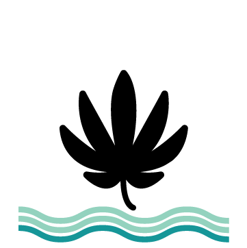 Beginner Strain icon