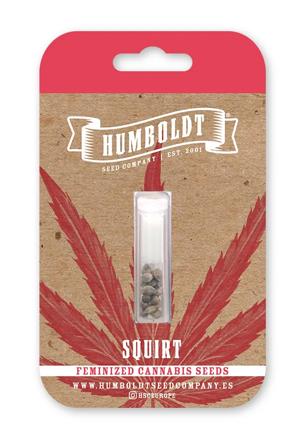 squirt cannabis seed pack