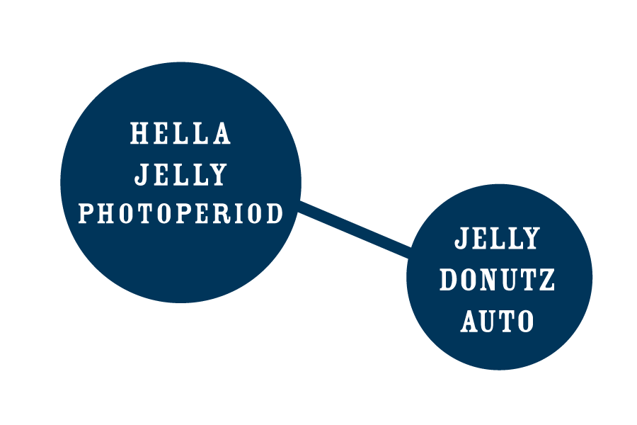 hella jelly genetic lineage graphic