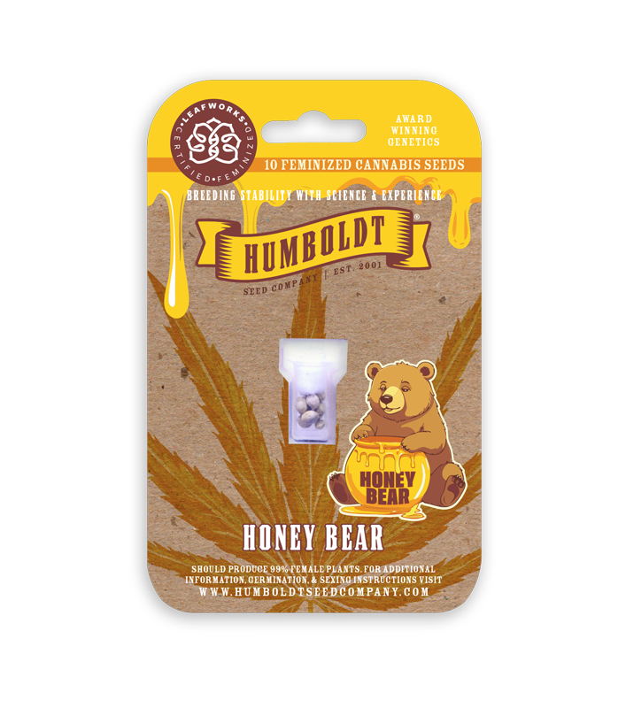 honey bear cannabis seed pack
