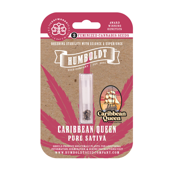 Caribbean queen pure sativa cannabis seed pack feminized