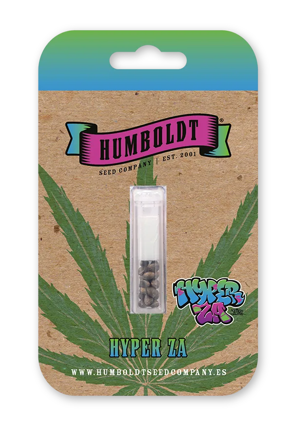 Hyper Za feminized cannabis seeds – Humboldt Seed Company seed pack